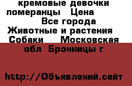кремовые девочки померанцы › Цена ­ 30 000 - Все города Животные и растения » Собаки   . Московская обл.,Бронницы г.